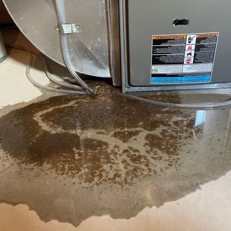 Pipe Burst and Leak Restoration in Whiteriver, AZ